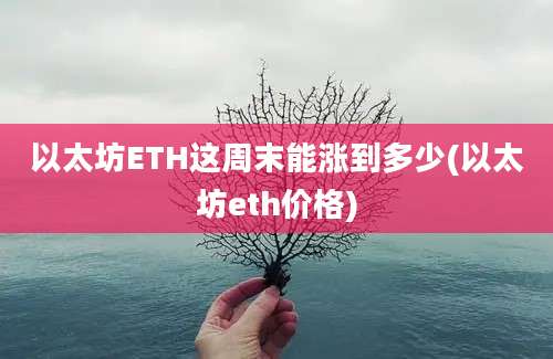 以太坊ETH这周末能涨到多少(以太坊eth价格)