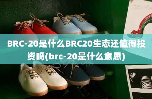 BRC-20是什么BRC20生态还值得投资吗(brc-20是什么意思)