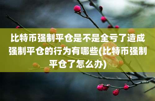 比特币强制平仓是不是全亏了造成强制平仓的行为有哪些(比特币强制平仓了怎么办)