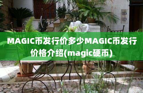 MAGIC币发行价多少MAGIC币发行价格介绍(magic硬币)