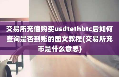 交易所充值购买usdtethbtc后如何查询是否到账的图文教程(交易所充币是什么意思)