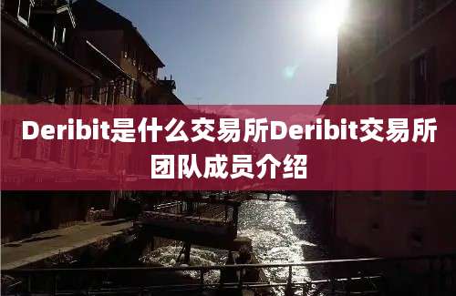 Deribit是什么交易所Deribit交易所团队成员介绍