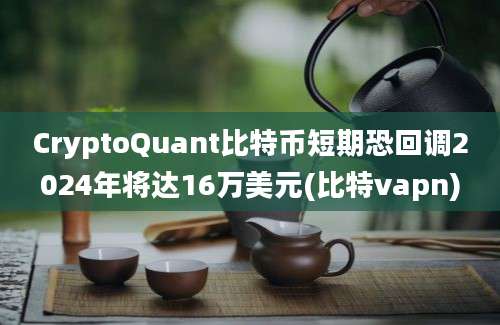 CryptoQuant比特币短期恐回调2024年将达16万美元(比特vapn)