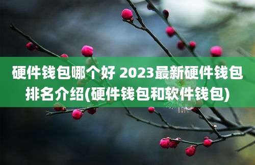 硬件钱包哪个好 2023最新硬件钱包排名介绍(硬件钱包和软件钱包)