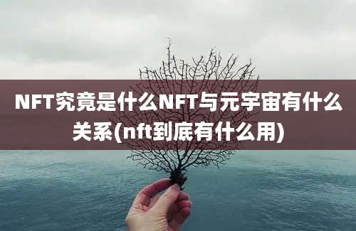 NFT究竟是什么NFT与元宇宙有什么关系(nft到底有什么用)