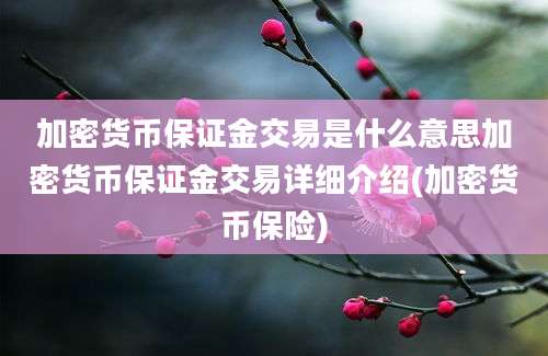 加密货币保证金交易是什么意思加密货币保证金交易详细介绍(加密货币保险)