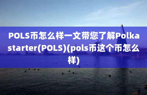 POLS币怎么样一文带您了解Polkastarter(POLS)(pols币这个币怎么样)