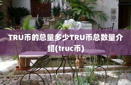 TRU币的总量多少TRU币总数量介绍(truc币)