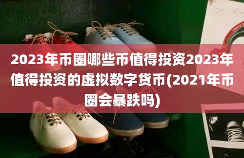 2023年币圈哪些币值得投资2023年值得投资的虚拟数字货币(2021年币圈会暴跌吗)