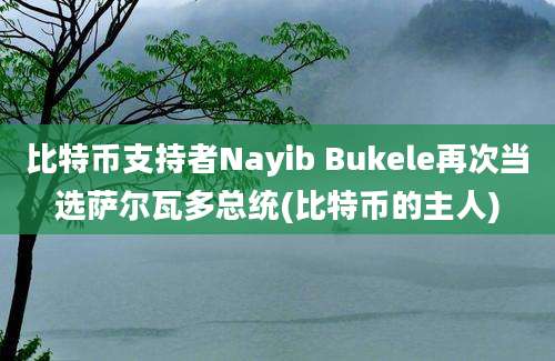 比特币支持者Nayib Bukele再次当选萨尔瓦多总统(比特币的主人)