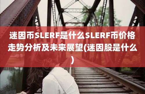 迷因币SLERF是什么SLERF币价格走势分析及未来展望(迷因股是什么)