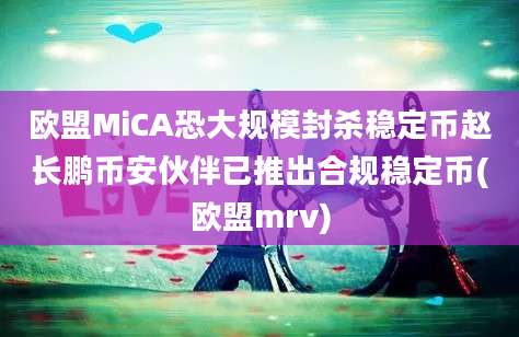 欧盟MiCA恐大规模封杀稳定币赵长鹏币安伙伴已推出合规稳定币(欧盟mrv)