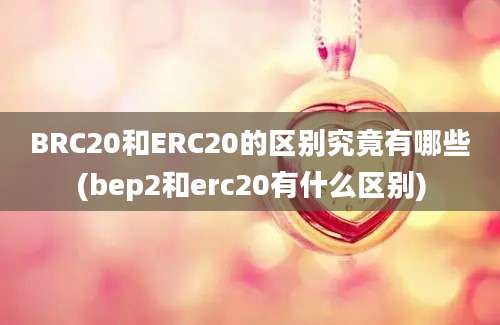 BRC20和ERC20的区别究竟有哪些(bep2和erc20有什么区别)