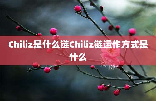 Chiliz是什么链Chiliz链运作方式是什么