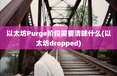 以太坊Purge阶段需要清除什么(以太坊dropped)