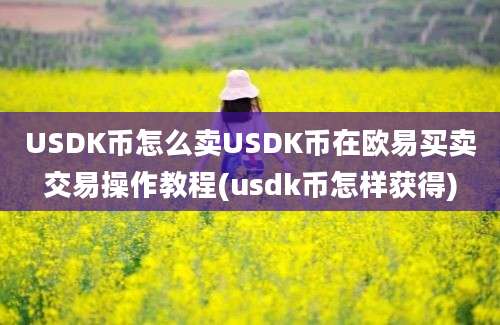 USDK币怎么卖USDK币在欧易买卖交易操作教程(usdk币怎样获得)