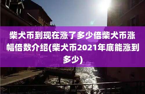 柴犬币到现在涨了多少倍柴犬币涨幅倍数介绍(柴犬币2021年底能涨到多少)