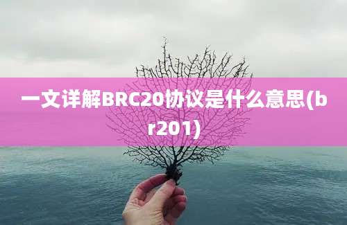 一文详解BRC20协议是什么意思(br201)