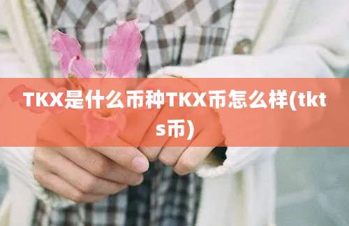 TKX是什么币种TKX币怎么样(tkts币)