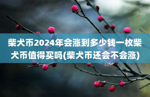 柴犬币2024年会涨到多少钱一枚柴犬币值得买吗(柴犬币还会不会涨)