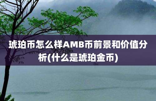 琥珀币怎么样AMB币前景和价值分析(什么是琥珀金币)