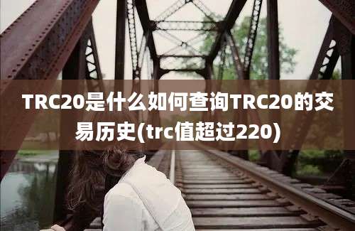 TRC20是什么如何查询TRC20的交易历史(trc值超过220)