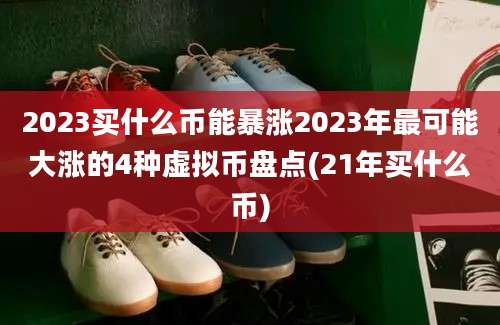 2023买什么币能暴涨2023年最可能大涨的4种虚拟币盘点(21年买什么币)