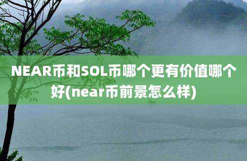 NEAR币和SOL币哪个更有价值哪个好(near币前景怎么样)