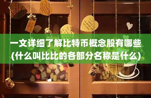 一文详细了解比特币概念股有哪些(什么叫比比的各部分名称是什么)