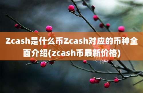 Zcash是什么币Zcash对应的币种全面介绍(zcash币最新价格)