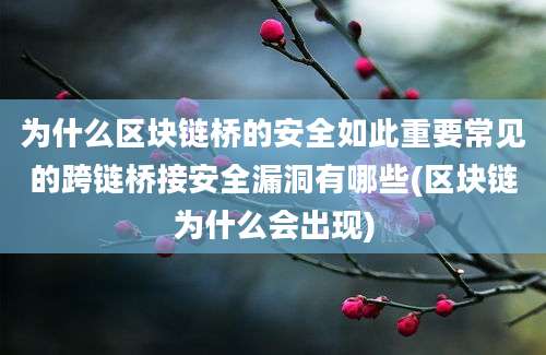 为什么区块链桥的安全如此重要常见的跨链桥接安全漏洞有哪些(区块链为什么会出现)