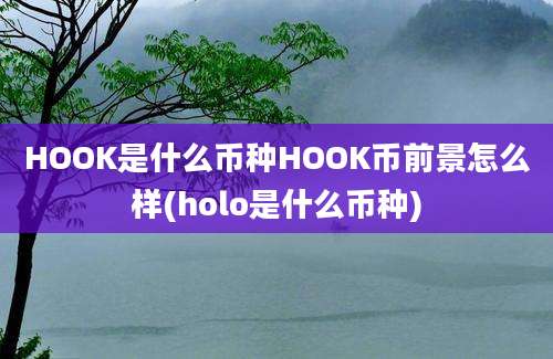 HOOK是什么币种HOOK币前景怎么样(holo是什么币种)