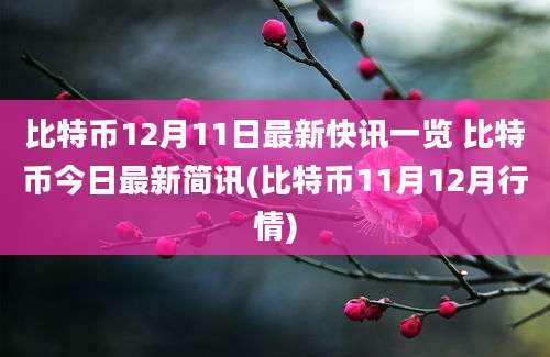 比特币12月11日最新快讯一览 比特币今日最新简讯(比特币11月12月行情)