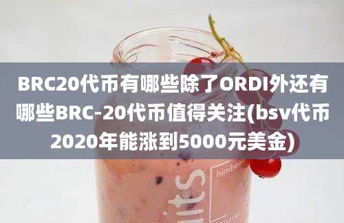 BRC20代币有哪些除了ORDI外还有哪些BRC-20代币值得关注(bsv代币2020年能涨到5000元美金)