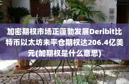 加密期权市场正蓬勃发展Deribit比特币以太坊未平仓期权达206.4亿美元(加期权是什么意思)