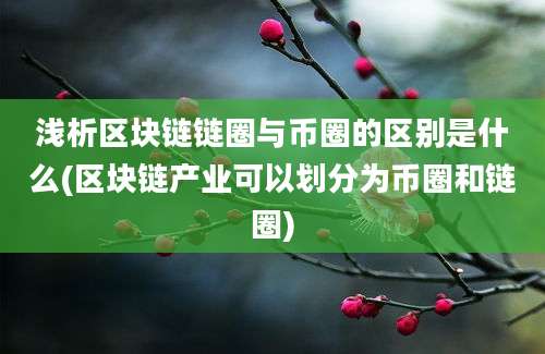 浅析区块链链圈与币圈的区别是什么(区块链产业可以划分为币圈和链圈)