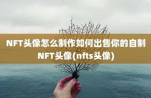 NFT头像怎么制作如何出售你的自制NFT头像(nfts头像)