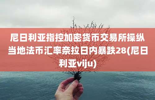 尼日利亚指控加密货币交易所操纵当地法币汇率奈拉日内暴跌28(尼日利亚viju)