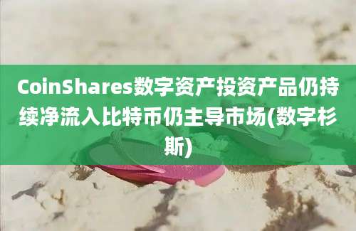 CoinShares数字资产投资产品仍持续净流入比特币仍主导市场(数字杉斯)