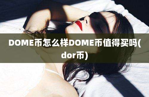 DOME币怎么样DOME币值得买吗(dor币)