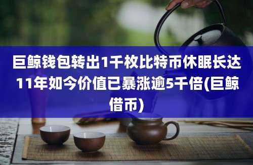 巨鲸钱包转出1千枚比特币休眠长达11年如今价值已暴涨逾5千倍(巨鲸借币)