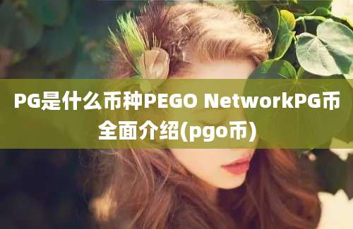 PG是什么币种PEGO NetworkPG币全面介绍(pgo币)