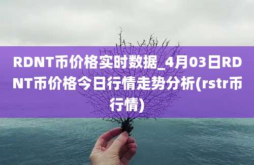 RDNT币价格实时数据_4月03日RDNT币价格今日行情走势分析(rstr币行情)