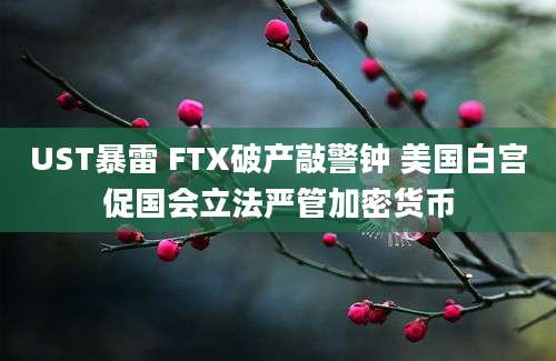 UST暴雷 FTX破产敲警钟 美国白宫促国会立法严管加密货币