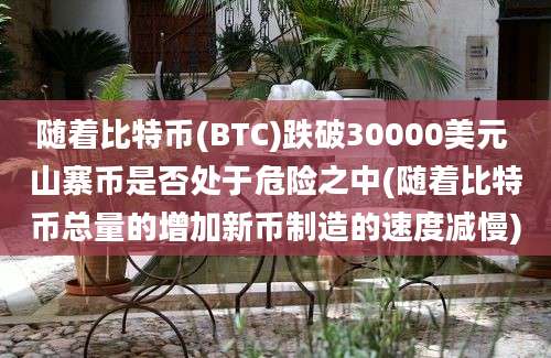 随着比特币(BTC)跌破30000美元 山寨币是否处于危险之中(随着比特币总量的增加新币制造的速度减慢)