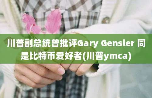 川普副总统曾批评Gary Gensler 同是比特币爱好者(川普ymca)