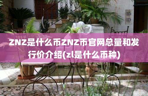 ZNZ是什么币ZNZ币官网总量和发行价介绍(zl是什么币种)