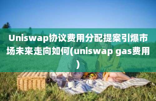 Uniswap协议费用分配提案引爆市场未来走向如何(uniswap gas费用)