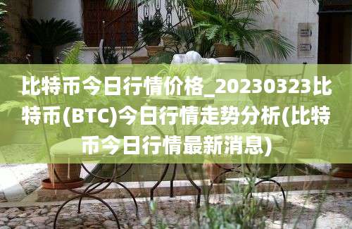 比特币今日行情价格_20230323比特币(BTC)今日行情走势分析(比特币今日行情最新消息)