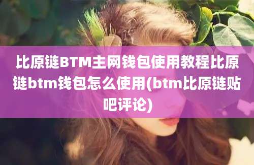 比原链BTM主网钱包使用教程比原链btm钱包怎么使用(btm比原链贴吧评论)